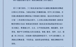 政府计划书模板下载