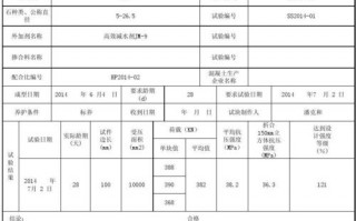  强度分析报告模板「强度测试报告」