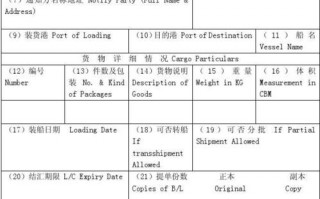  海运货代委托书实际模板「海运货代委托书实际模板图片」