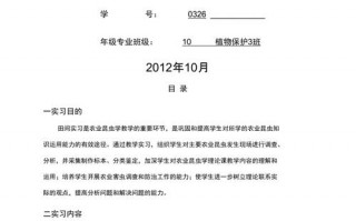 教学内容报告模板怎么写 教学内容报告模板