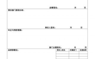 异常处理报告模板,异常情况及处理结果 