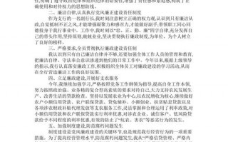 2021年廉洁从业情况说明-廉洁从业报告模板