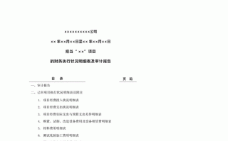 审计查账有问题会怎么处理吗?-查账专项审计报告模板