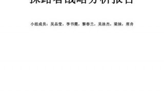  战略分析报告的模板「战略分析报告的模板范文」