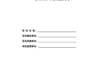  视频项目自检报告模板「视频检查方案」