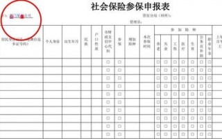 社保报表用哪个软件打印