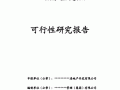 棚改项目可研报告模板（棚改可行性研究报告）