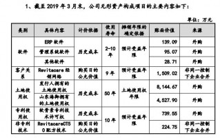 资产情况汇报材料-资产履职情况模板