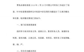  农村财务整改报告模板「村级财务整改情况报告」