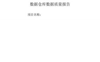 质量数据汇报材料模板_数据质量报告模板