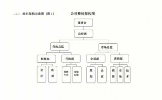 组织结构情况说明