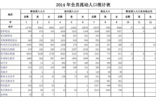 人口统计分析模板