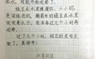 作文格式怎么写模板小学四年级-作文格式怎么写模板小学