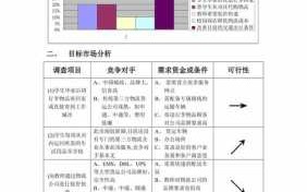 市场分析及定位模板