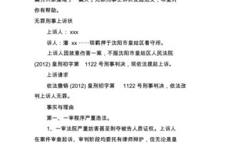 无罪上诉状怎么写范文 法庭无罪申请书模板