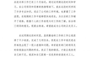 厨师试用期工作总结及转正申请 员工 厨师试用期合同模板