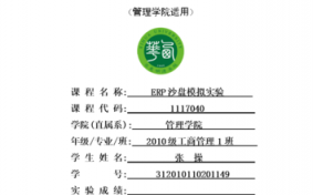 沙盘模拟实验总结模板,沙盘模拟实验实验报告 