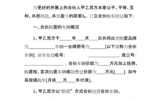  合伙购车协议模板「合伙购车协议怎么写」