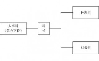 医院科室人事档案模板_医院科室人力资源结构图