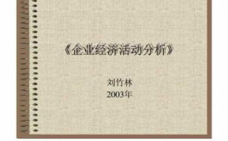 经济活动分析ppt模板,经济活动分析会ppt 