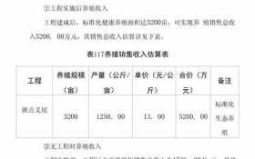 改造项目效益分析模板