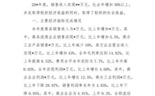 财务分析报告的模板怎么写