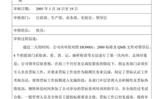 内部审核报告模板