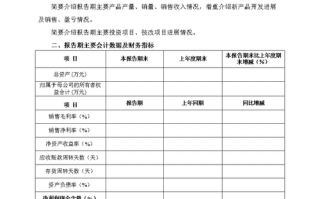 财务报告模板范文_财务报告模板范文图片