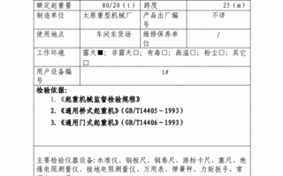 起重工器具检验报告 起重设备检验模板