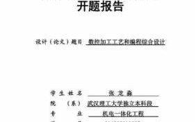  武汉理工大学开题报告模板「理工开题报告范文样本」