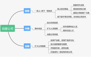 担保公司未来规划模板