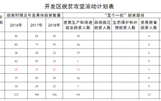 脱贫攻坚行动计划-行动方案模板脱贫攻坚