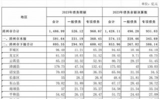 政府性债务表模板_政府性债务余额计算公式