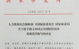 授予荣誉称号决定模板图片 授予荣誉称号决定模板