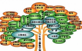 数学知识树模板,数学知识树模板六年级苏教上 