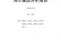 海尔分析报告模板,海尔分析总结 