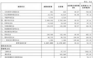 基金经费预算表模板（基金预算支出包括哪些）