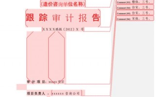 政策跟踪审计报告模板_政策跟踪审计处