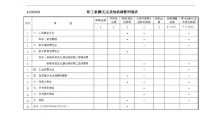 职工薪酬支出及纳税调整明细表工资薪金支出 职工薪水酬模板