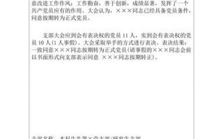 党支部对党员处理决议 党支部处理决定的模板