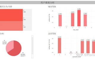 消费行为数据分析