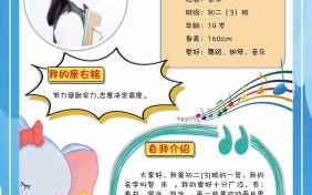 自我介绍模板新颖 最新自我介绍模板免费下载