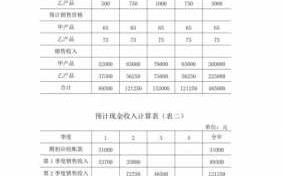 销售公司财务计划模板（销售型公司财务预算）