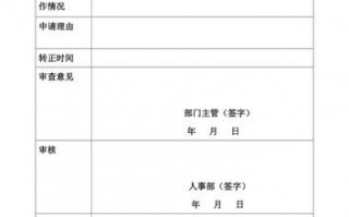 助理转正申请表模板