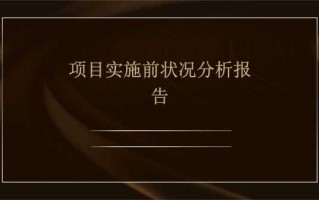 项目实施情况分析报告