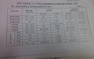 职工社保缴纳情况查询-职工社保缴纳情况模板