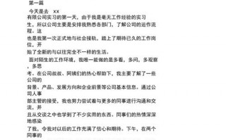 实习日记100篇通用版 实习日记模板