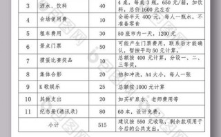 活动预算方案表