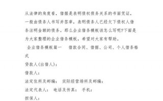  企业向政府借款模板「企业向政府借款模板怎么写」