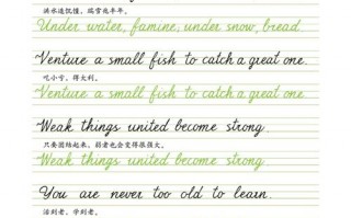  比较刚正英文练字模板「比较刚正英文练字模板的软件」